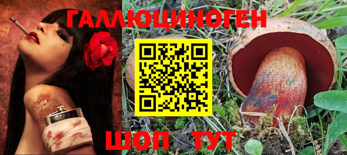 Галлюциногенные грибы мицелий  Вход с VPN  Галлюциногенные грибы Magic Shrooms  Щёлково 